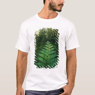 USA,Washington,Olympia National Park,Hoh River T-Shirt