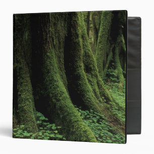USA, Washington, Olympic National Park, 2 Binder