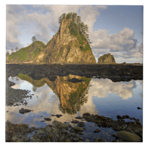 USA, Washington, Olympic National Park.  A Tile