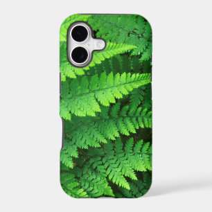 USA, Washington, Olympic National Park, Athyrium