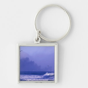 USA, Washington, Olympic National Park. Fog Keychain
