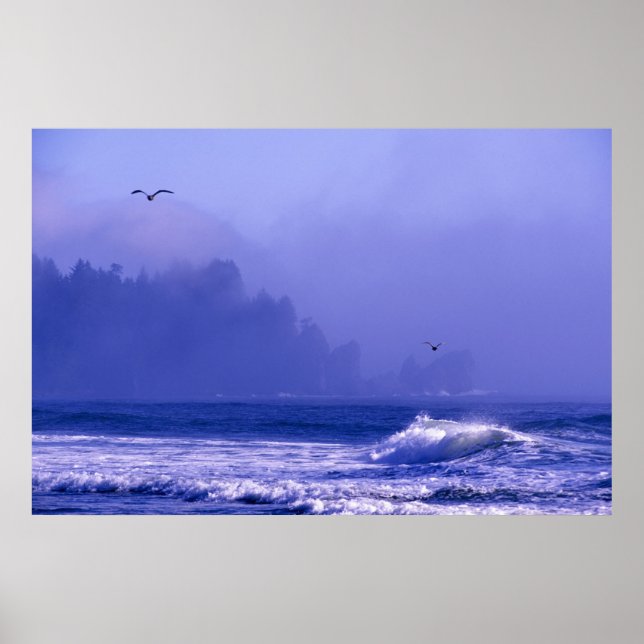 USA, Washington, Olympic National Park. Fog Poster (Front)