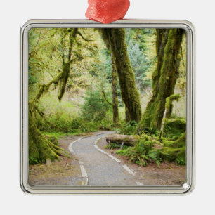 USA, Washington, Olympic National Park, Hiking Metal Ornament