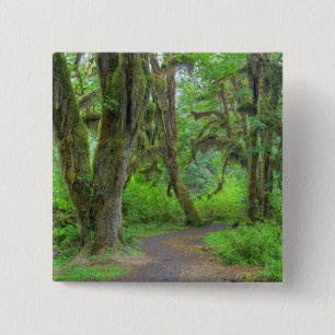 USA, Washington, Olympic National Park, Hoh 2 Inch Square Button