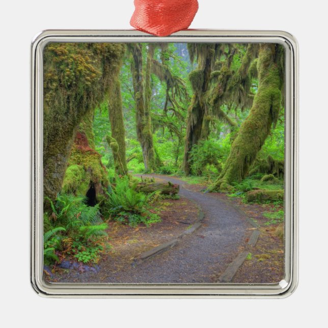 USA, Washington, Olympic National Park, Hoh 2 Metal Ornament (Front)