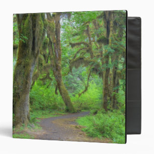 USA, Washington, Olympic National Park, Hoh Binder