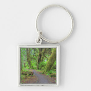 USA, Washington, Olympic National Park, Hoh Rain Keychain