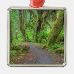 USA, Washington, Olympic National Park, Hoh Rain Metal Ornament
