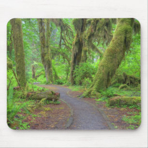 USA, Washington, Olympic National Park, Hoh Rain Mouse Pad