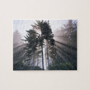 USA, Washington, Olympic National Park, Morning Jigsaw Puzzle