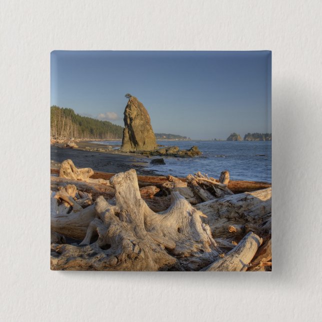 USA, Washington, Olympic National Park, Rialto 2 Inch Square Button (Front)