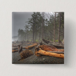 USA, Washington, Olympic National Park, Rialto 2 Inch Square Button