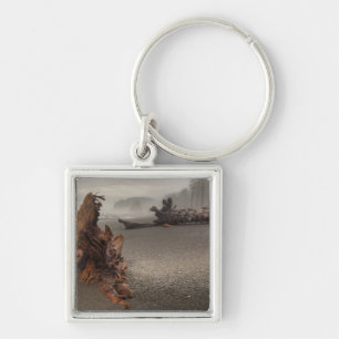 USA, Washington, Olympic National Park, Rialto 2 Keychain