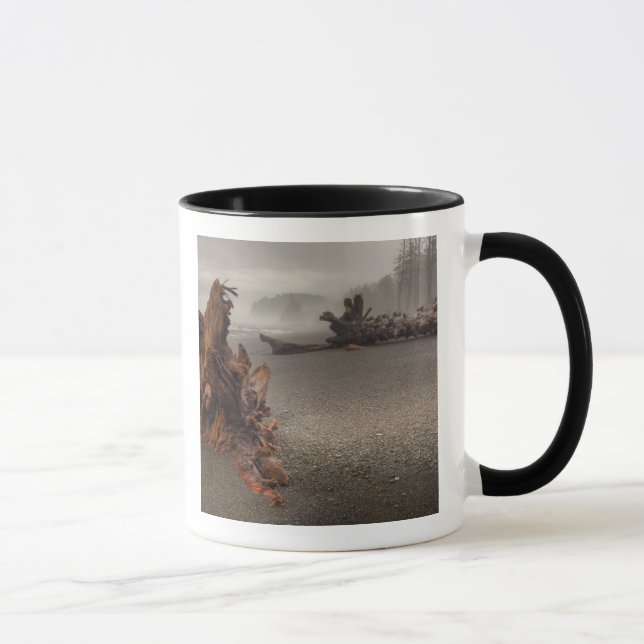 USA, Washington, Olympic National Park, Rialto 2 Mug (Right)