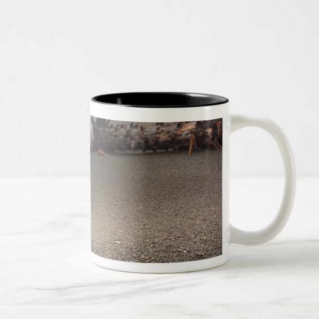USA, Washington, Olympic National Park, Rialto 2 Two-Tone Coffee Mug (Right)