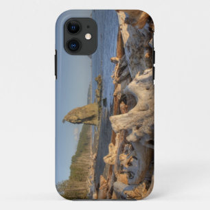 USA, Washington, Olympic National Park, Rialto iPhone 11 Case