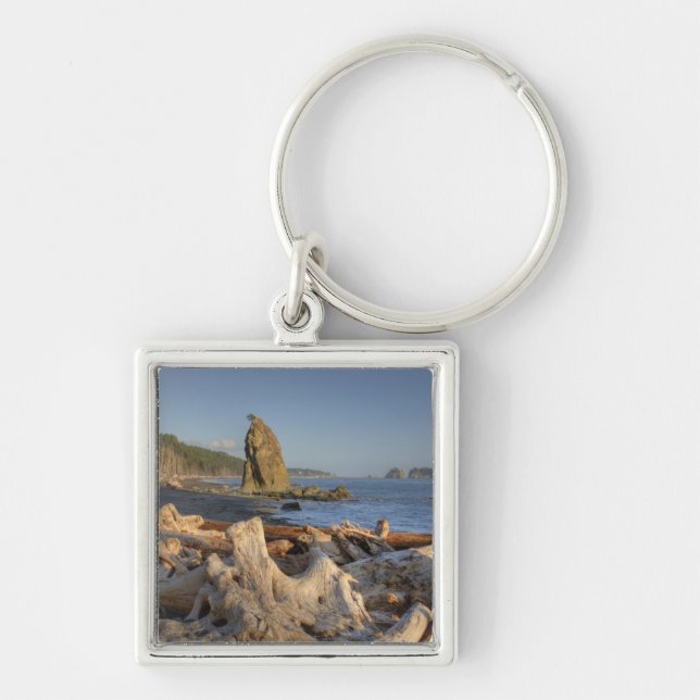 USA, Washington, Olympic National Park, Rialto Keychain (Front)