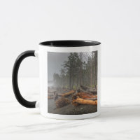 USA, Washington, Olympic National Park, Rialto