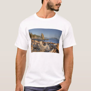 USA, Washington, Olympic National Park, Rialto T-Shirt