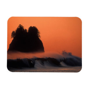 USA, Washington, Olympic National Park, Sea Magnet