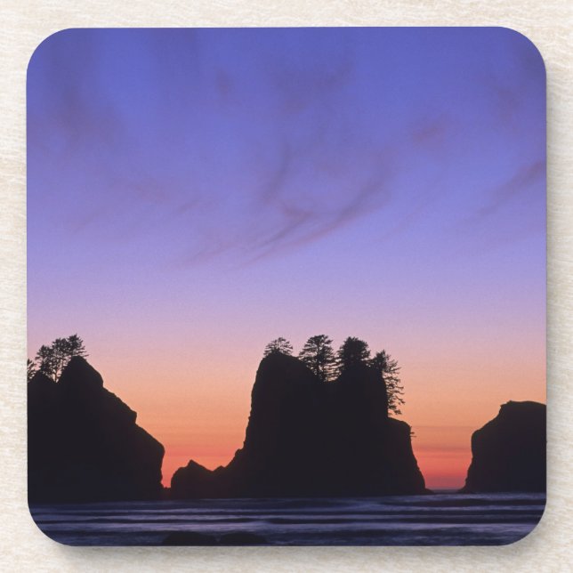 USA, Washington, Olympic National Park, Shi-shi Coaster (Front)