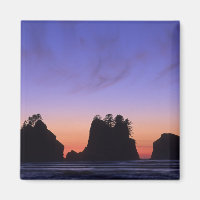 USA, Washington, Olympic National Park, Shi-shi