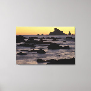 USA, Washington, Olympic Nat'l Park, Seastacks Canvas Print