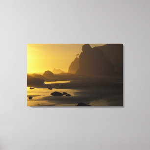 USA, Washington, Olympic Nat'l Park, Sunset, Canvas Print