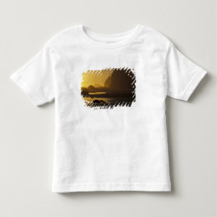 USA, Washington, Olympic Nat'l Park, Sunset, Toddler T-shirt