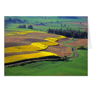 USA, Washington, Palouse, Whitman County 2