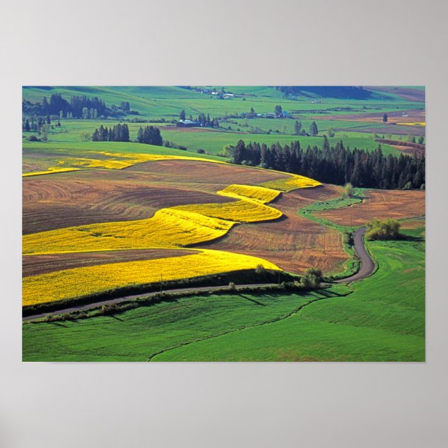 USA, Washington, Palouse, Whitman County 2 Poster (Front)