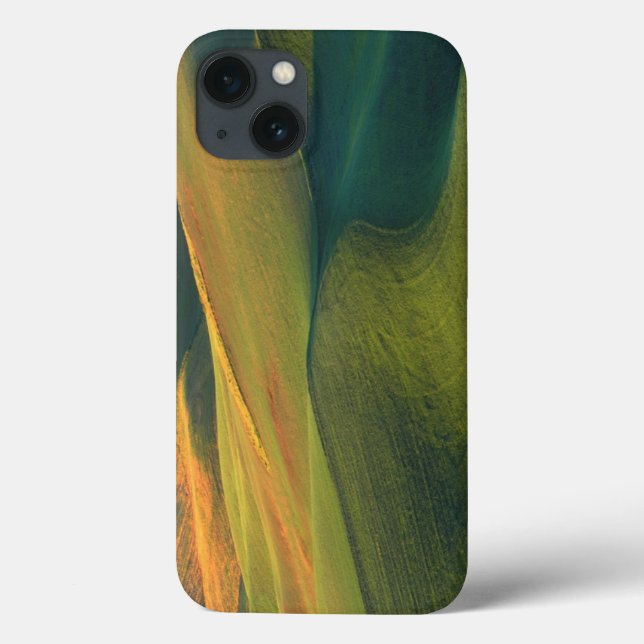 USA, Washington, Palouse, Whitman County Case-Mate iPhone Case (Back)