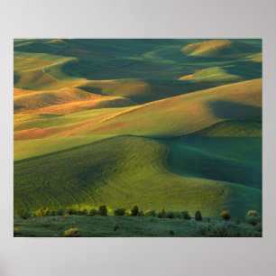 USA, Washington, Palouse, Whitman County Poster