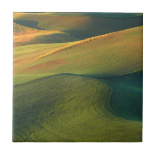 USA, Washington, Palouse, Whitman County Tile