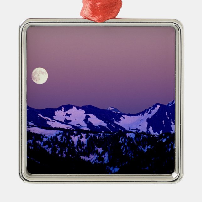 USA, Washington, Port Angeles, Olympic National Metal Ornament (Front)