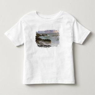 USA, Washington, San Juan Islands.  Waves crash Toddler T-shirt