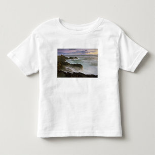 USA, Washington, San Juan Islands.  Waves crash Toddler T-shirt