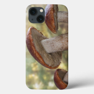 USA, Washington, Seabeck. Leccinum Insigne iPhone 13 Case