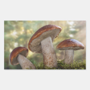 USA, Washington, Seabeck. Leccinum Insigne Sticker