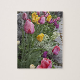 USA, Washington, Seabeck. Tulips line garden Jigsaw Puzzle