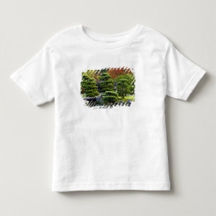 USA, Washington, Seattle, Arboretum, Japanese Toddler T-shirt