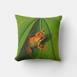USA, Washington, Seattle, Discovery Park 2 Throw Pillow