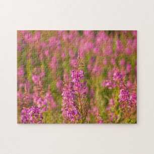 USA, Washington, Seattle, Discovery Park 3 Jigsaw Puzzle