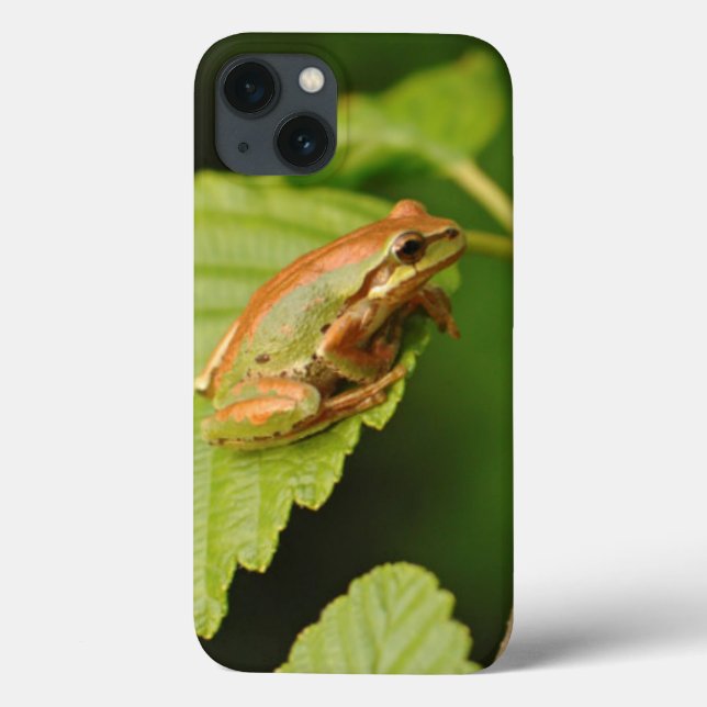 USA, Washington, Seattle, Discovery Park Case-Mate iPhone Case (Back)