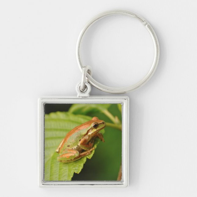USA, Washington, Seattle, Discovery Park Keychain (Front)