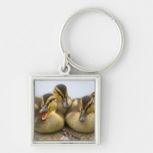 USA, Washington, Seattle, Lake Washington Keychain
