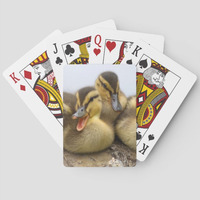 USA, Washington, Seattle, Lake Washington Playing Cards (Back)