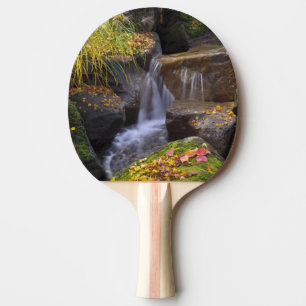 USA, Washington, Seattle Ping Pong Paddle
