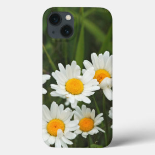 USA, Washington, Seattle, Puget Sound 3 iPhone 13 Case