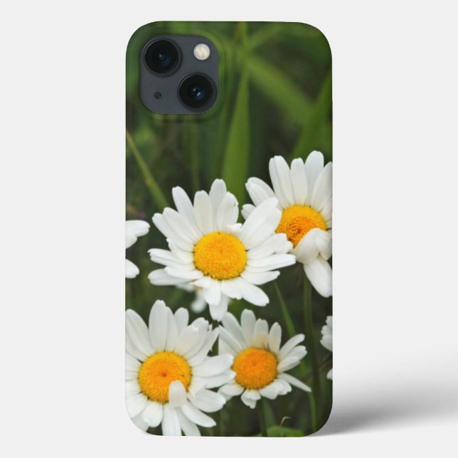 USA, Washington, Seattle, Puget Sound 3 Case-Mate iPhone Case (Back)